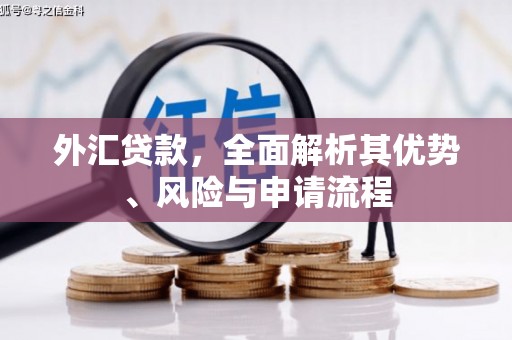 思茅外汇贷款，全面解析其优势、风险与申请流程