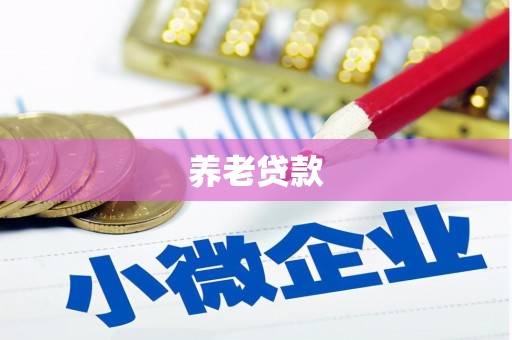 民雄养老贷款