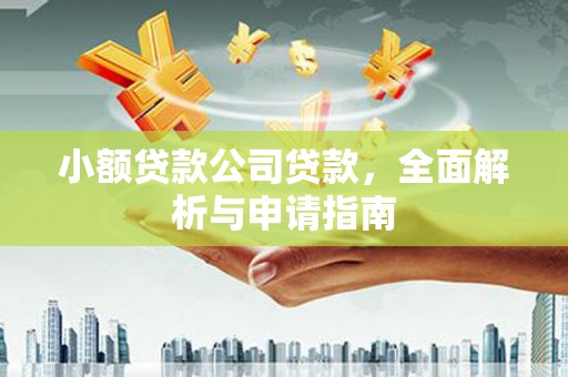 崁顶小额贷款公司贷款，全面解析与申请指南