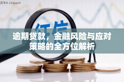 长垣逾期贷款，金融风险与应对策略的全方位解析