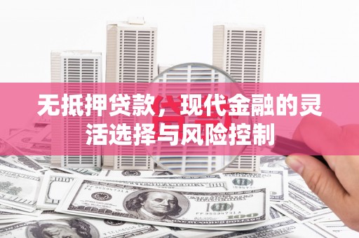 长垣无抵押贷款，现代金融的灵活选择与风险控制