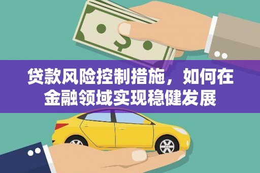 庐山贷款风险控制措施，如何在金融领域实现稳健发展