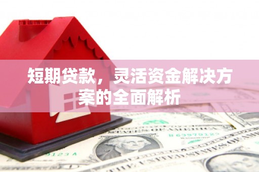 阿拉善右旗短期贷款，灵活资金解决方案的全面解析