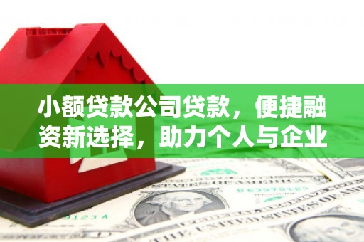 阿拉善右旗小额贷款公司贷款，便捷融资新选择，助力个人与企业成长