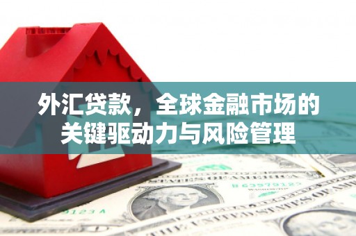秦安外汇贷款，全球金融市场的关键驱动力与风险管理