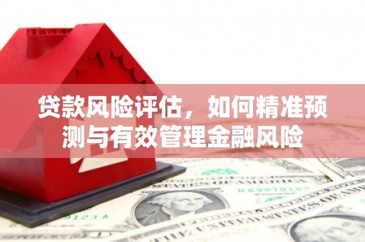 青原贷款风险评估，如何精准预测与有效管理金融风险