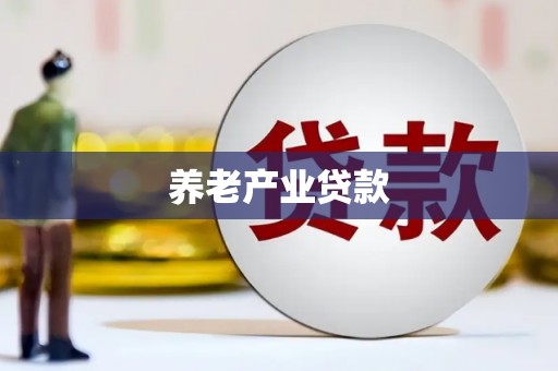 关岭养老产业贷款
