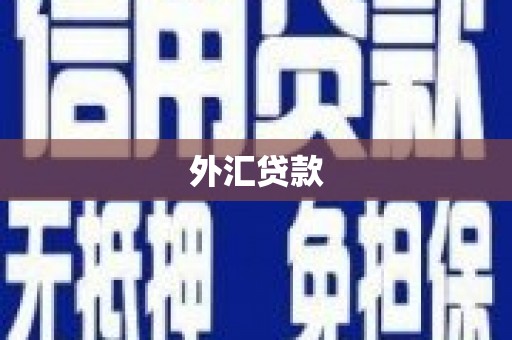 秦皇岛外汇贷款