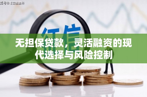 从江无担保贷款，灵活融资的现代选择与风险控制