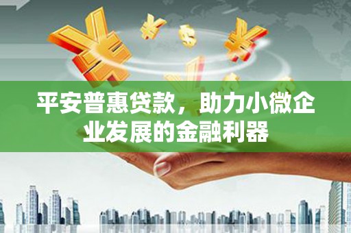 册亨平安普惠贷款，助力小微企业发展的金融利器
