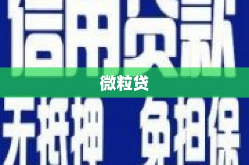 巴南微粒贷