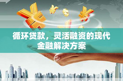 普兰店循环贷款，灵活融资的现代金融解决方案