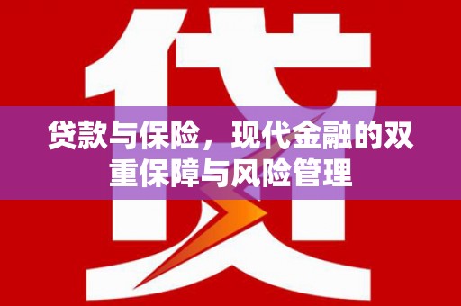 阳西贷款与保险，现代金融的双重保障与风险管理