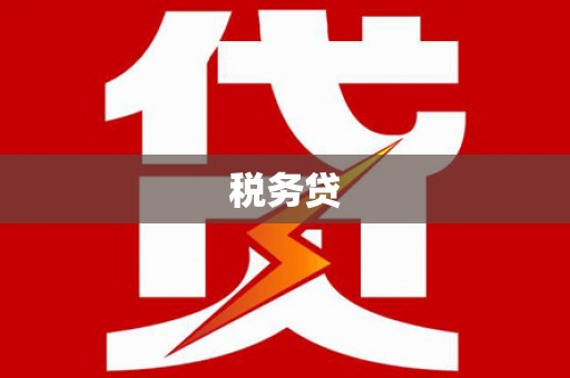 阳西税务贷