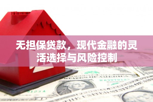 茂林无担保贷款，现代金融的灵活选择与风险控制