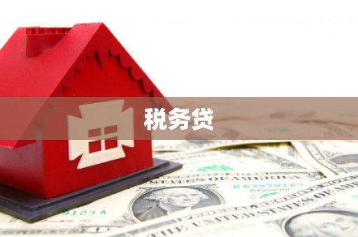 介休税务贷