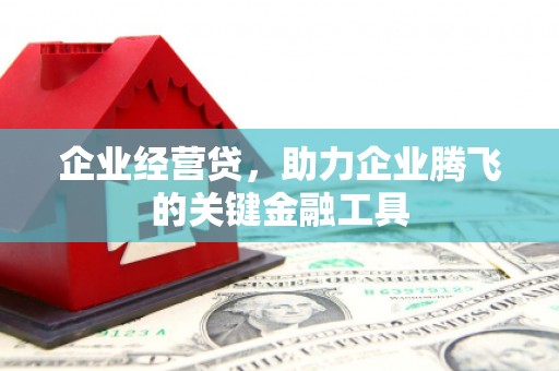 港闸企业经营贷，助力企业腾飞的关键金融工具