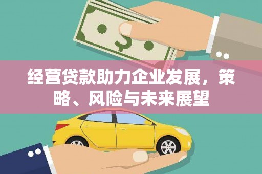 普兰店经营贷款助力企业发展，策略、风险与未来展望