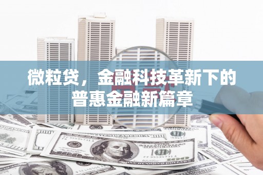 瀍河微粒贷，金融科技革新下的普惠金融新篇章