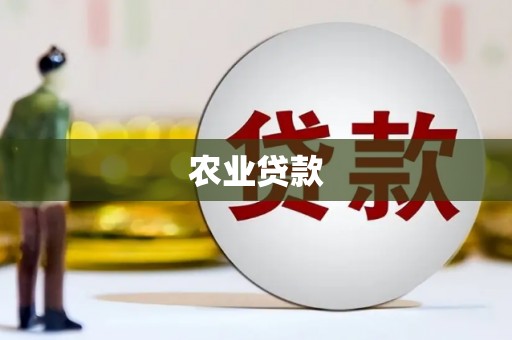 津南农业贷款