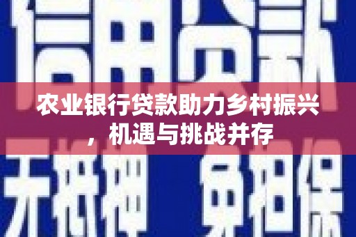 抚顺农业银行贷款助力乡村振兴，机遇与挑战并存