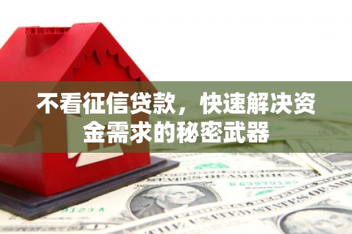 剑阁不看征信贷款，快速解决资金需求的秘密武器