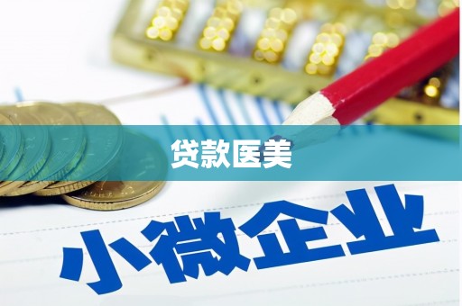禹会贷款医美