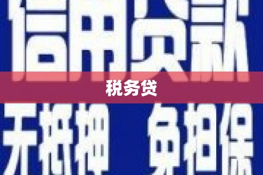 扬中税务贷