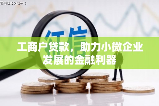 津市工商户贷款，助力小微企业发展的金融利器