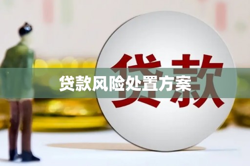黎平贷款风险处置方案