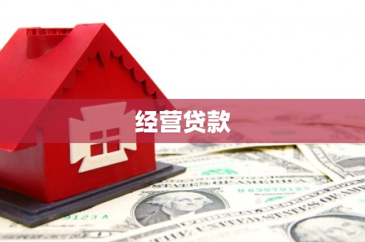 禹会经营贷款