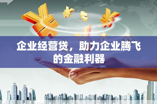 理县企业经营贷，助力企业腾飞的金融利器