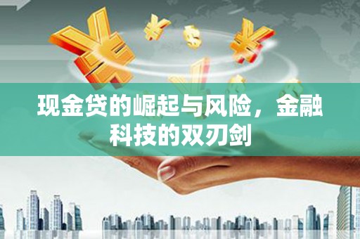 泰州现金贷的崛起与风险，金融科技的双刃剑
