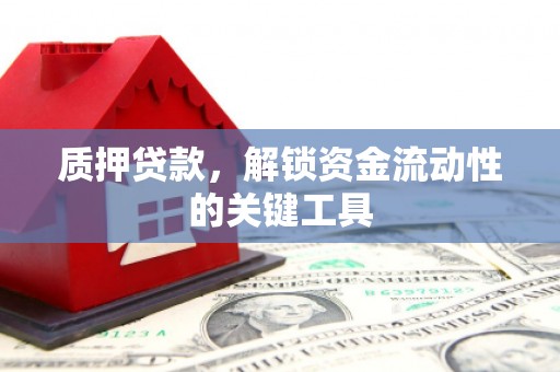 泰州质押贷款，解锁资金流动性的关键工具