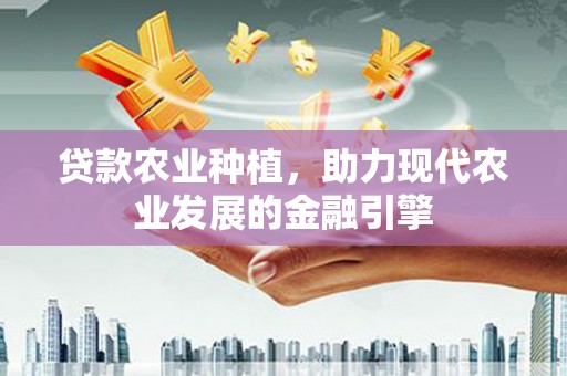 禹州贷款农业种植，助力现代农业发展的金融引擎
