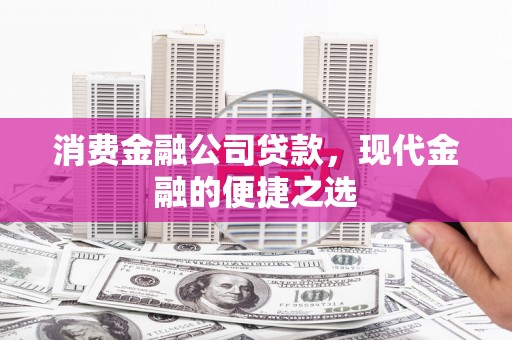 赣县消费金融公司贷款，现代金融的便捷之选