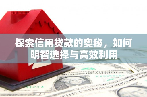 柳江探索信用贷款的奥秘，如何明智选择与高效利用