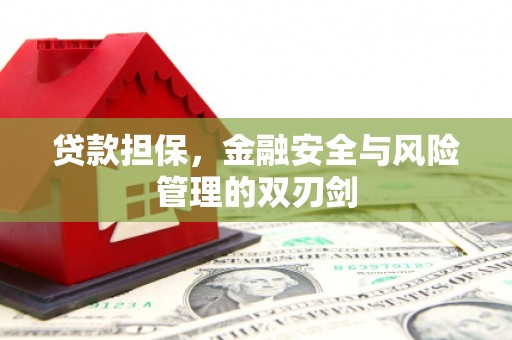 理县贷款担保，金融安全与风险管理的双刃剑
