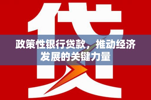 理县政策性银行贷款，推动经济发展的关键力量