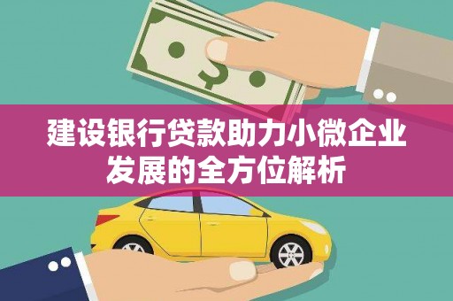 理县建设银行贷款助力小微企业发展的全方位解析