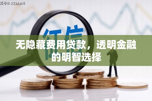 大城无隐藏费用贷款，透明金融的明智选择