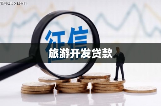 下陆旅游开发贷款