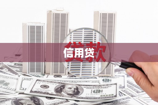 桐柏信用贷