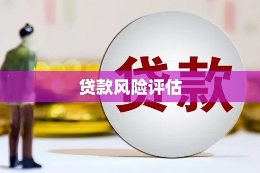 赣县贷款风险评估