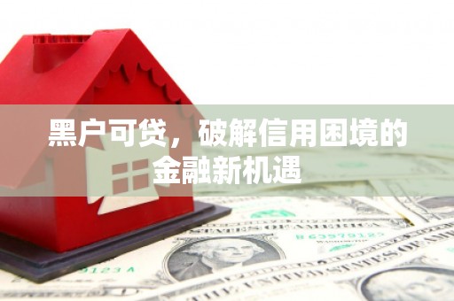西岗黑户可贷，破解信用困境的金融新机遇