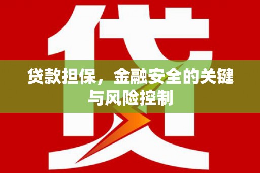 青秀贷款担保，金融安全的关键与风险控制