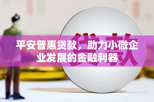 潮南平安普惠贷款，助力小微企业发展的金融利器