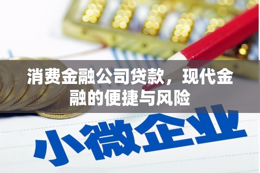 西林消费金融公司贷款，现代金融的便捷与风险