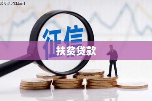 西林扶贫贷款