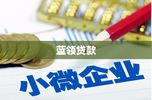 市中区蓝领贷款